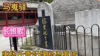 唐杨贵妃墓位于陕西省兴平马嵬驿，马嵬驿乃杨贵妃魂断之处，白居易《长恨歌》里有描述。