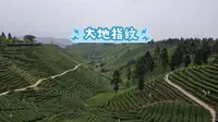 雅安大地指纹