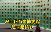 澄江化石地世界自然遗产博物馆变得更精彩了