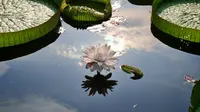 南宁人民公园一游