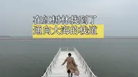 北海旅居Day5:196💰在金海湾红树林找到了通向大海的木栈道，一个人肆意狂奔，还当了海边的秋千，体验感完美！