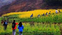 繁花江岸线 重庆金鳌山_五彩梯田_大渡口江岸