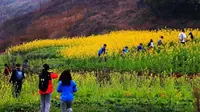 繁花江岸线 重庆金鳌山_五彩梯田_大渡口江岸