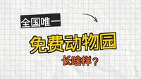邢台动物园  游记