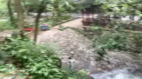 12分钟登飞来峰，原来飞来峰真的只是个峰！