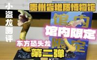 贵州省地质博物馆限定——东方恐头龙测评