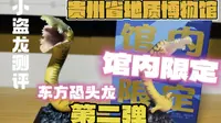 贵州省地质博物馆限定——东方恐头龙测评