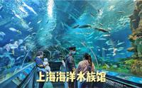 【上海vlog】游玩上海海洋水族馆，拥有世界上最长的海底隧道，海洋种类全国最多！