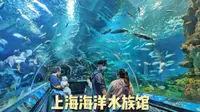 【上海vlog】游玩上海海洋水族馆，拥有世界上最长的海底隧道，海洋种类全国最多！