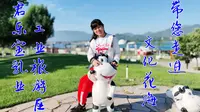 石家庄君乐宝乳业工业旅游区带你走进文化花海
