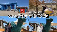 Vlog02|鄂尔多斯野生动物园一日游
