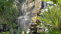 湖南省植物园天际苑科研展览温室