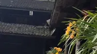 旅游四川峨眉山照片集4/6【峨眉山低海拔区善觉寺】寺院美景 #兰花 #兰草 #旅游景区 #四川 #乐山 #峨眉山 #善觉寺 #古建筑之美 #兰花开了 #寺院