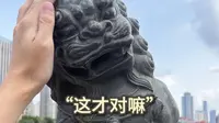 游客打卡天津狮子林桥，跟石狮子“对话”玩起来了～