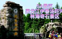 5A景区，黑龙江省伊春市汤旺河林海奇石景区