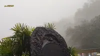 不夸张，总要去一次鼎湖山宝鼎园，抛个许愿球吧！不愧是广东四大名山之一