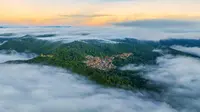 云海泡茶山，这是景迈山独有的浪漫