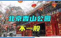 相比其它公园，北京香山公园不一般，这3大景点国人必须要看