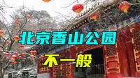 相比其它公园，北京香山公园不一般，这3大景点国人必须要看