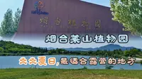 仲夏烟台最适合露营的地方——“烟台植物园”，放松身心享受自然