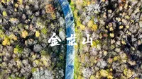 感受秋天五花山的美景，打卡金龙山国家森林公园。