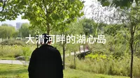山东齐河县大清河南端的湖心岛，有小泰山之称，景色清幽美好
