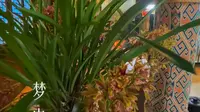 【张家界天子山点将台】最新视频来袭，快来看看吧！