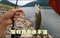 探钓丹东中朝边境水丰湖，解锁新鱼种