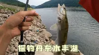 探钓丹东中朝边境水丰湖，解锁新鱼种