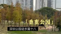 深圳公园徒步篇十八：香蜜公园