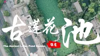 保定·古莲花池