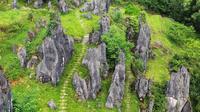 藏在深山里的贵州思南石林，纯天然的美景，低调得让人心疼