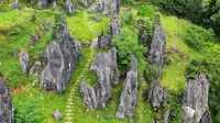 藏在深山里的贵州思南石林，纯天然的美景，低调得让人心疼