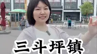 三斗坪镇，三峡大坝坝下的第一个移民新镇！只要是体验过两坝一峡的朋友们都来过这个小镇。#三斗坪镇 #三斗坪游客中心 三峡大坝 #两坝一峡 #导游平姐
