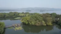 20231030_0941_杭州西湖小瀛洲起飛