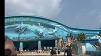 一条视频让你知道徐州欧乐堡海洋世界到底怎么样，值200多的票价吗