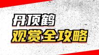 齐齐哈尔扎龙湿地观赏丹顶鹤游玩攻略来啦！请收藏