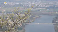 湘乡八景之首 差点被人遗忘  春光明媚东台山