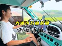 大渡岗万亩茶园游玩攻略来啦！这么大片的茶园我还是第一次看见#我的旅行日记 #大渡岗万亩茶园 #西双版纳旅游