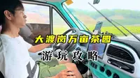 大渡岗万亩茶园游玩攻略来啦！这么大片的茶园我还是第一次看见#我的旅行日记 #大渡岗万亩茶园 #西双版纳旅游