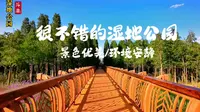 昆明滇池边有个免费的湿地公园，斗南湿地公园，夏天景美安静！
