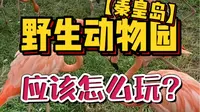 暑假第一次来秦皇岛野生动物园！应该怎么玩？