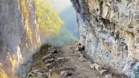 毕节白石岩｜悬崖上的挂壁天渠，如今已鲜有人走