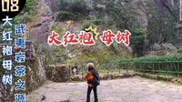 武夷山-大红袍，走最贵的茶园步道，带你去找大红袍最初的样子