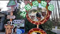 动物园里有什么？| 上海动物园一日游🦓🐅🐆🐘🦒🦩🦥🐾