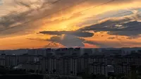 寻虫记（21-250830-假期最后一天）-内蒙古赤峰市南山生态园：白星花金龟（打架实况)和锥步甲