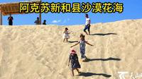阿克苏新和县沙漠花海