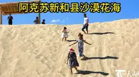 阿克苏新和县沙漠花海