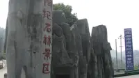 奥陶纪石林#宜都市#奥陶纪#石林#自然奇观