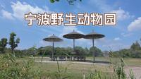4K60帧宁波野生动物园游玩记